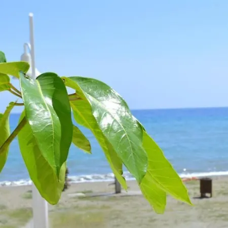 Sunny Apartment Near The Beach. Rincón de la Victoria Buitenkant foto