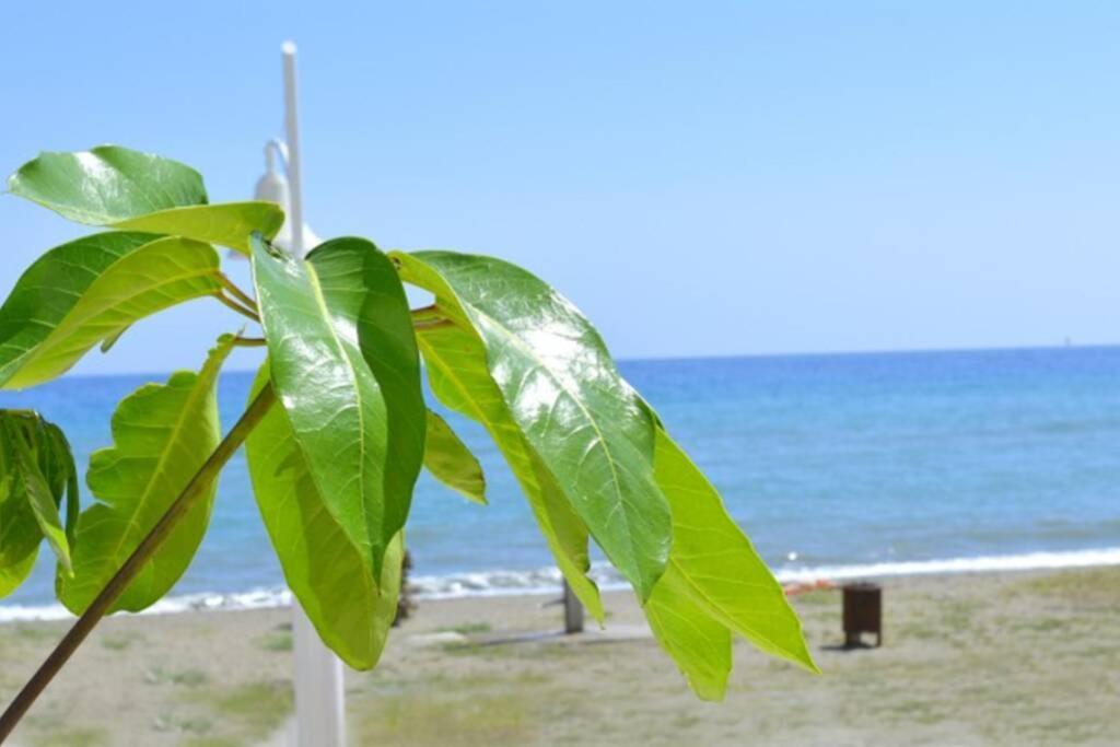 Sunny Near The Beach. Apartment *